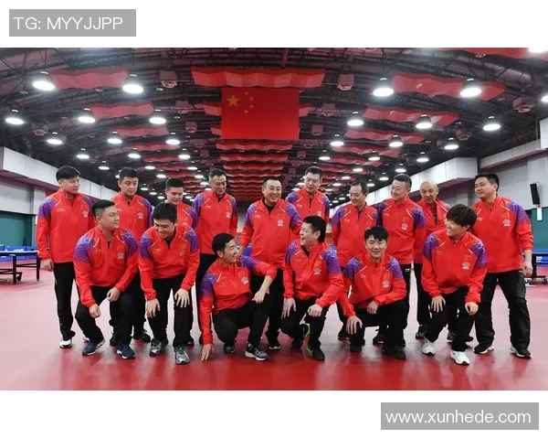 上海乒乓球队技术分析与发展探讨聚焦乒乓球竞技新趋势