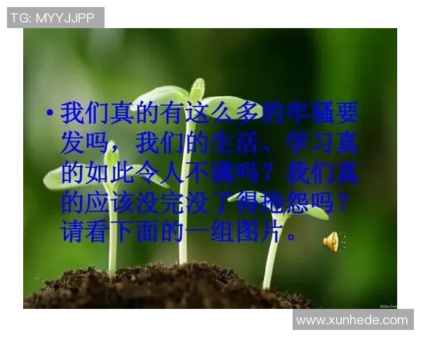 陈强的羽毛球人生深度对话探索运动背后的坚持与梦想